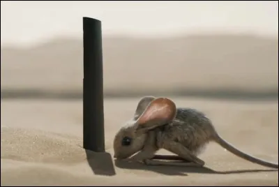 De quel film vient cette image ?