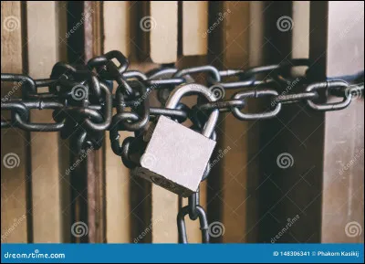 Quel est le nom du protocole sécurisé utilisé sur Internet ?