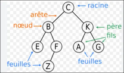 Qu'est-ce qu'un arbre binaire ?