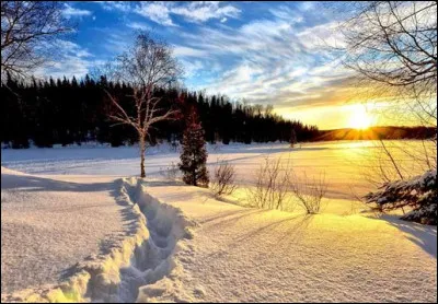 Combien de fois dans l'année, se produit un solstice ?