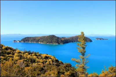 L'île Adèle est une petite île au large de la côte nord de l'île du Sud de la Nouvelle-Zélande.