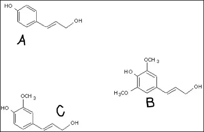 Complétez le schéma :