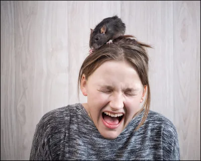 Bonus : Trouvez lintrus dans la liste :