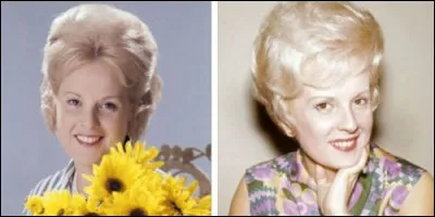 Pour les anciens... ils reconnaîtront cette speakrine des années 60, époque où l'on présentait encore le programme TV chaque soir !
Mises à part ses fonctions à la télévision, que faisait-elle ?