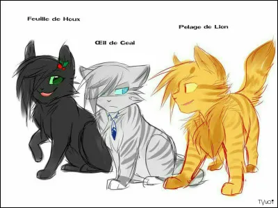 Lequel des ces chats ne fait pas partie des Trois ?