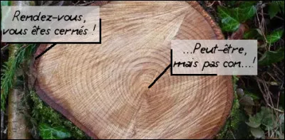 Démographie > Il revient à M. Saul Newman, pour avoir constaté que nombre d'affirmations sur l'existence de supercentenaires ou autres records d'âge proviennent de régions où la durée de vie est courte, où... [Complétez !]