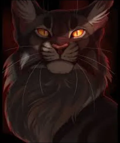 Quelle était la punition d'Étoile du Tigre pour avoir attaqué Étoile Bleue ?