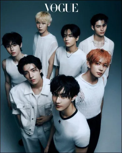 Qui sont les membres seulement sud-coréens ?