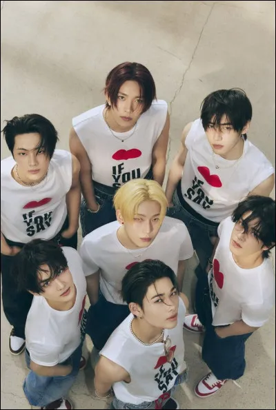 Comment sont appelés les fans d'Enhypen ?