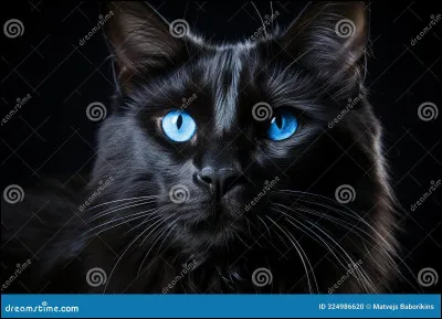 On dit que vous vous enfuyez silencieusement. L’inconnu vous remarque et vous dit de rester où vous êtes et qu’il s’appelle Constellation.