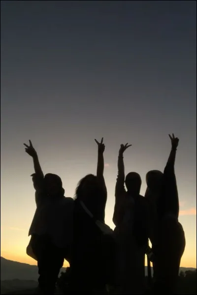 Dans ton groupe d'ami(e)s, tu es...