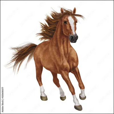 Comment s'appelle le fils de Pos&eacute;idon qui a l'apparence d'un cheval ?