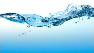 Quel animal parmi ces trois est le plus rapide dans leau ?