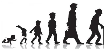 Quel animal a la plus grande durée de vie ?