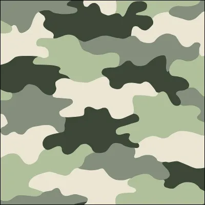 Quel animal est le meilleur camoufleur ?