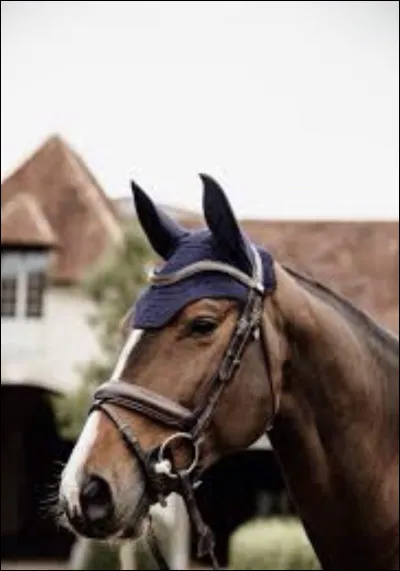 À quoi cela sert-il ?