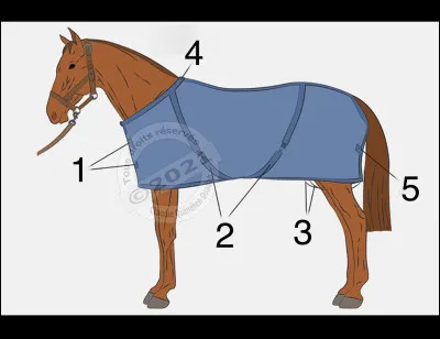 À quoi correspondent ces numéros ?