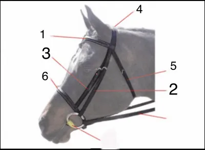 À quoi correspondent les numéros ?