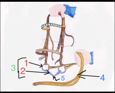 À quoi correspondent les numéros ?