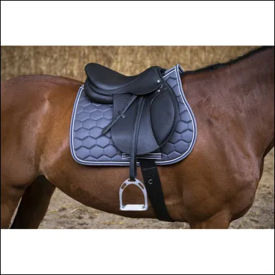 Quest-ce quune selle ?