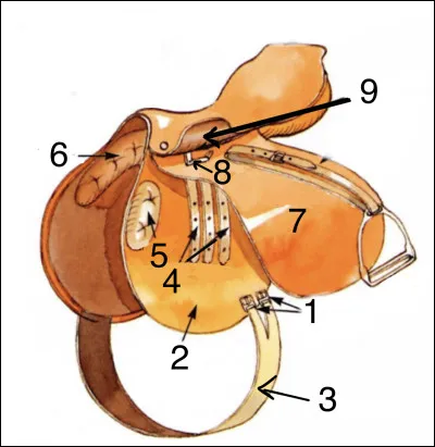 À quoi correspondent les numéros ?