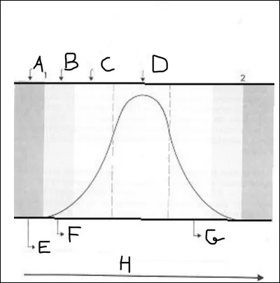 Complétez la courbe.