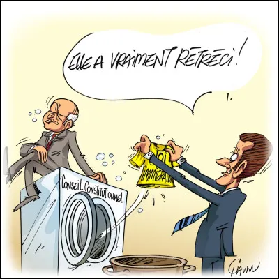 Le 25 janvier 2024, le Conseil constitutionnel a considéré que ... articles de la loi immigration étaient inconstitutionnels.