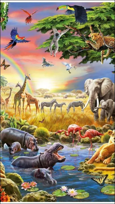 Quel animal te correspond le plus ?