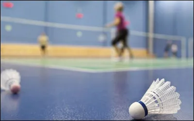 Quelle activité te plaît ?