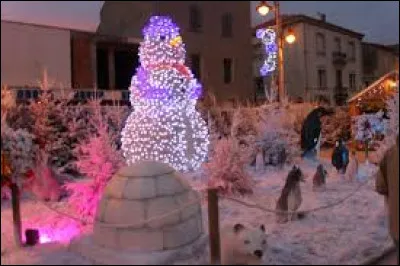 Je vous emmène maintenant à la "rencontre" de ce bonhomme de neige à Port-la-Nouvelle. Ville du Grand Narbonne, elle se situe dans le département ...