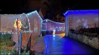 Nous déambulons maintenant entre ces maisons illuminées à Saint-Désert. Village viticole de l'aire d'attraction Chalonnaise, il se situe dans le département ...