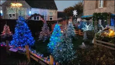 Voici une forêt illuminée, à voir au Manoir. Village Calvadosien, il se situe en région ...