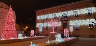 Si vous aimez le rose, rendez-vous à Port-sur-Saône. Ville de l'aire d'attraction Vésulienne, traversée par la Saône, elle se situe en région ...