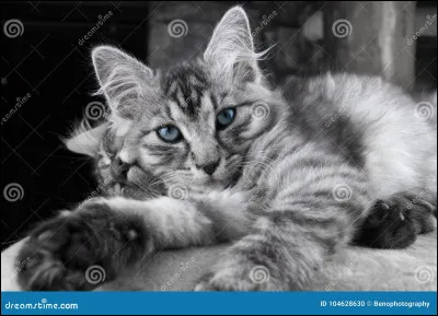 Quel est ton plus grand défaut ? (Suite)