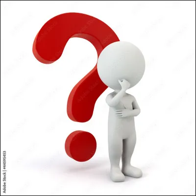 Imagine que tu pars avec ton ami(e) pour une mission importante. Ton ami(e) et toi devez vous séparer pour poursuivre la mission. 
Quelques minutes passent, et tu reçois un appel de ton ami(e) ou il/elle appelle à l'aide, puis il/elle raccroche brusquement. 
Que fais-tu ?