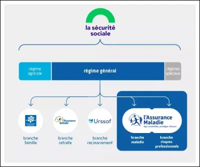 Quand sont instituées les trois branches de la Sécurité sociale ?