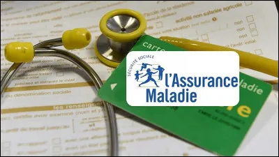 La loi du 30 avril 1930 impose au bénéfice des salariés de lindustrie et du commerce le premier système complet et obligatoire dassurances sociales. 
Quels sont les domaines couverts ?