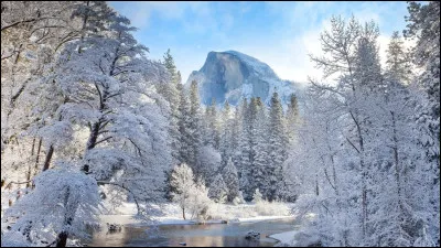 Qu'est-ce que tu préfères en hiver ?