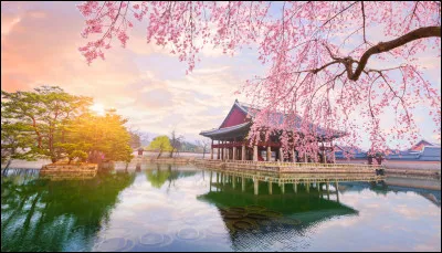 Jisoo est de quelle nationalité ?