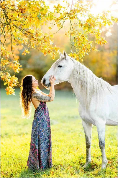 Vrai ou faux ? Certains chevaux sont capables de percevoir les champs magnétiques terrestres et de les utiliser pour s'orienter.