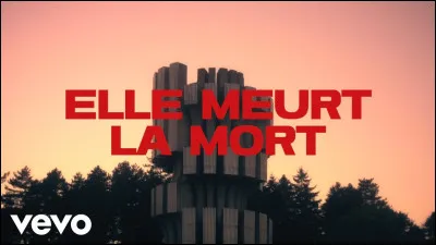 Comment meurt Julien Sorel ?