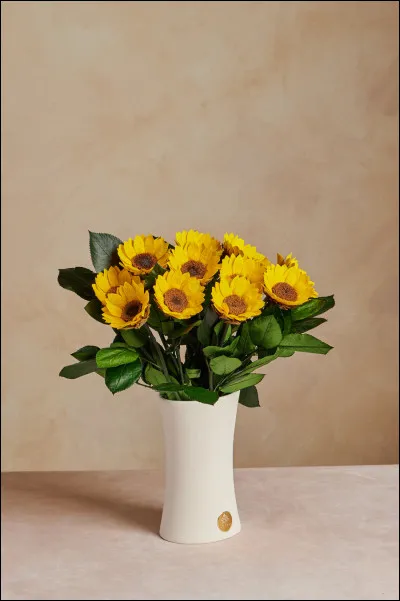 Quest-ce quun alexandrin ?