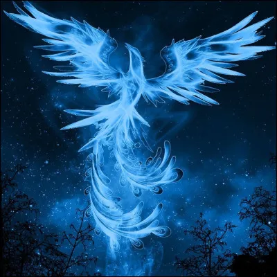 À qui appartient ce Patronus ?