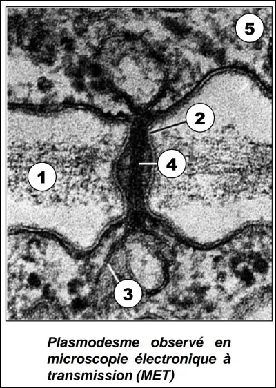 A quoi correspond le chiffre 3