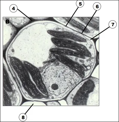 A quoi correspond le chiffre 4 ?