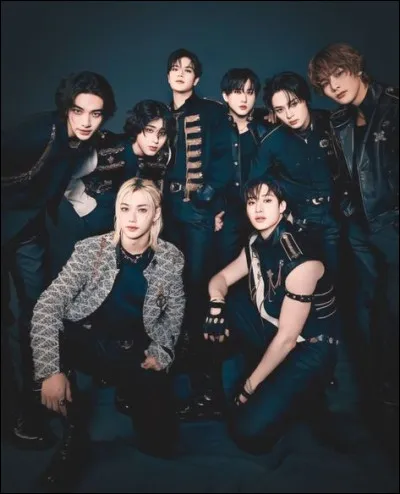 Quel adjectif te correspond le plus ? (2)