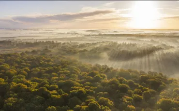 Quiz Test de personnalit�