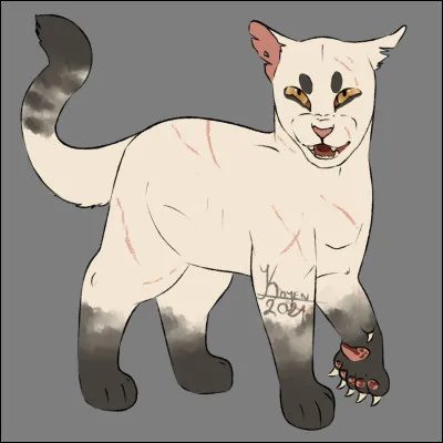 De quel clan Étoile de Jais a-t-il été le chef ?