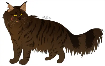 De quel clan Étoile Grise a-t-il été le chef ?