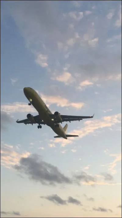 As-tu déjà pris l'avion ?